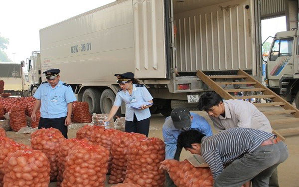 THỦ TỤC KIỂM DỊCH THỰC VẬT NHẬP KHẨU, XUẤT KHẨU